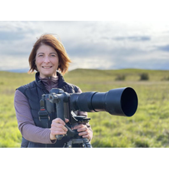 Profile picture of Isabelle Groc